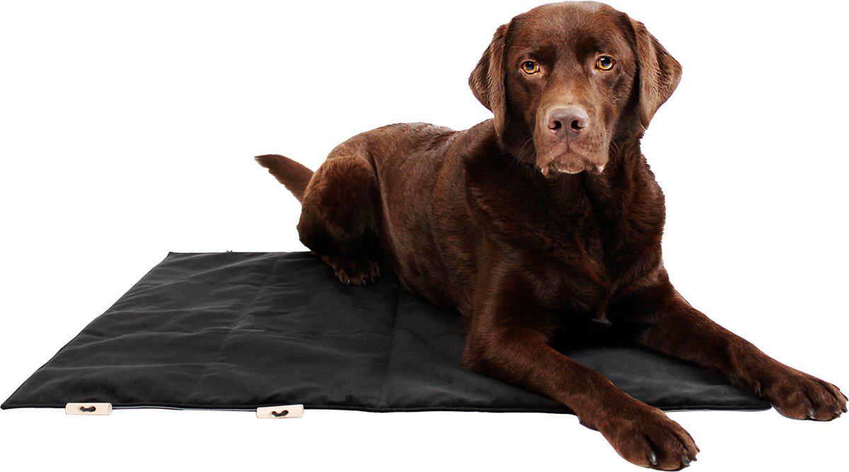 Bia Madrass Travel Svart/outdoor 80x100cm