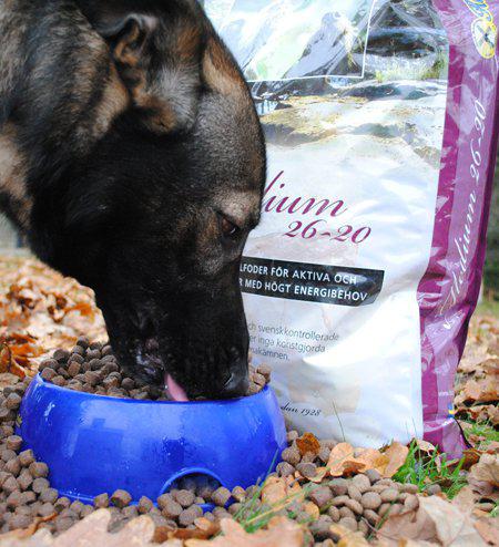 Hundfoder Halla Prestation Performance 26-20 3.25kg
