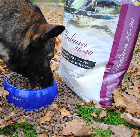 Hundfoder Halla Prestation Performance 26-20 3.25kg