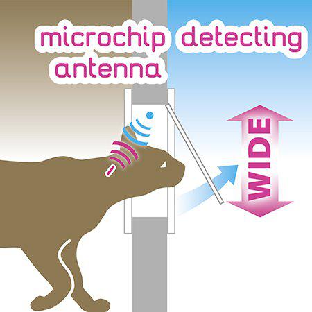 Kattdörr Swing Microchip Vit