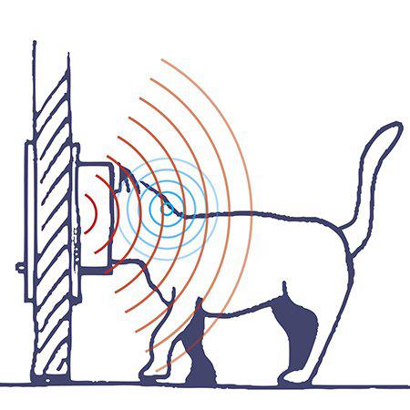 Kattdörr Swing Microchip Vit