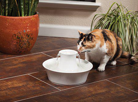 Vattenfontän Drinkwell Avalon Keramisk 2l