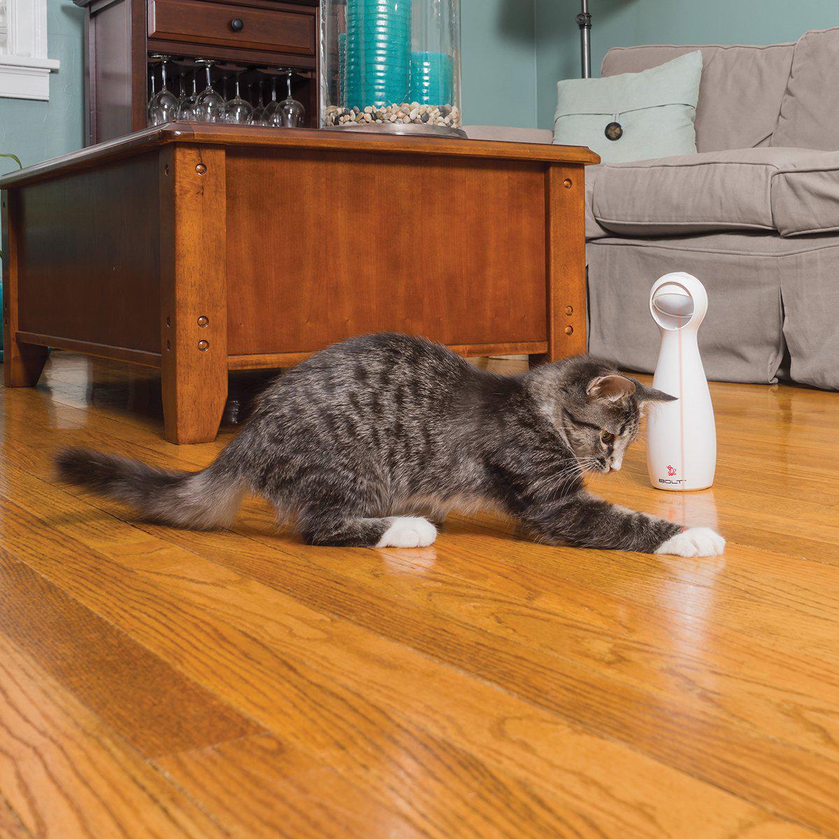 Frolicat Bolt Laserleksak