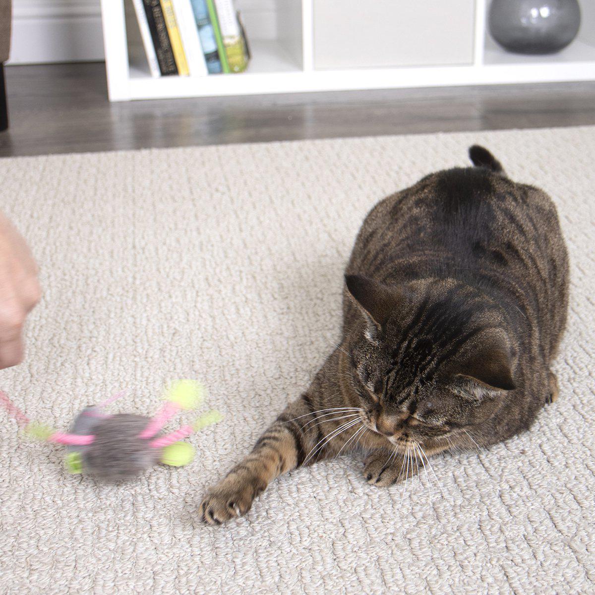 Smartykat Bouncy Mouse Mix Färg