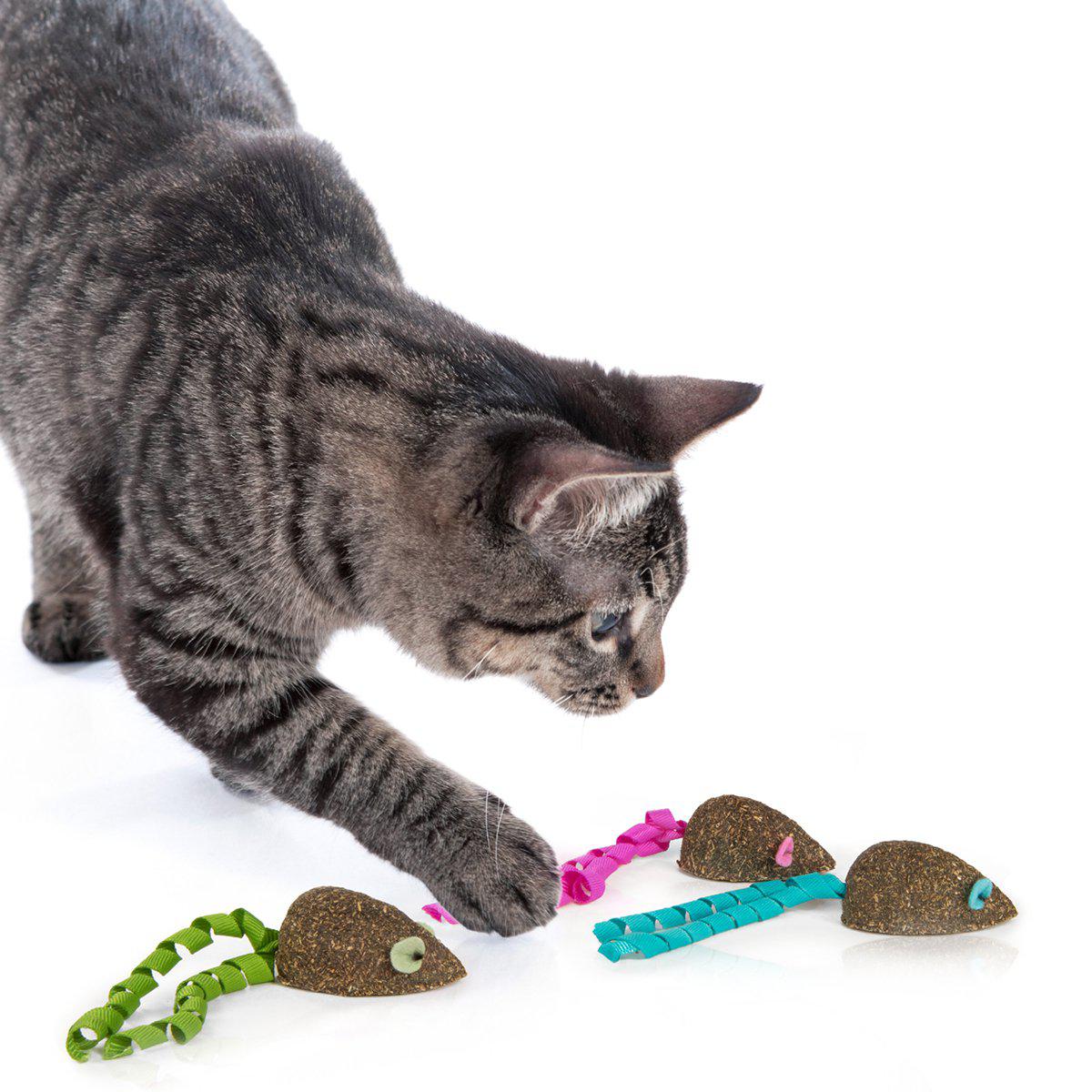 Smartykat Magic Micet 3st Catnip And Ribbon 5x2.5cm