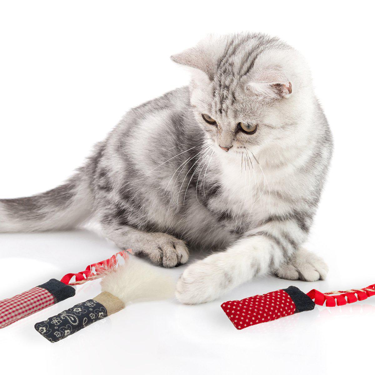 Smartykat Silly Stix 3st Catnip 8x2cm