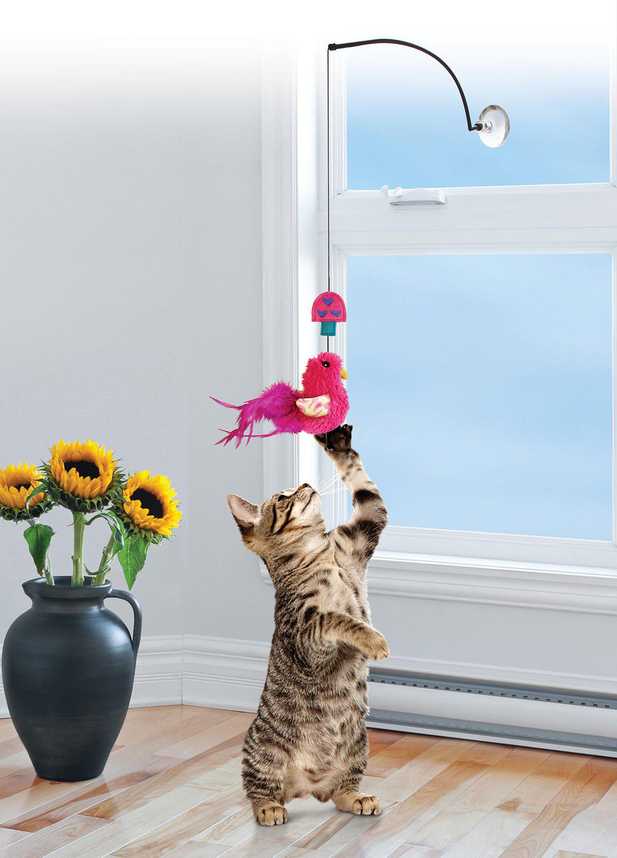 Kong Cat Connects Window Teaser Mix 30cm