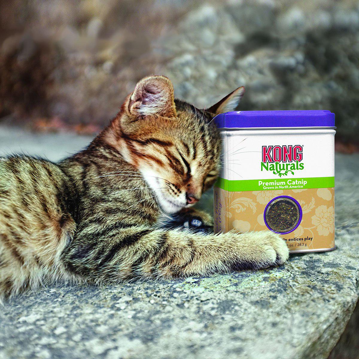 Kong Naturals Catnip 56gr