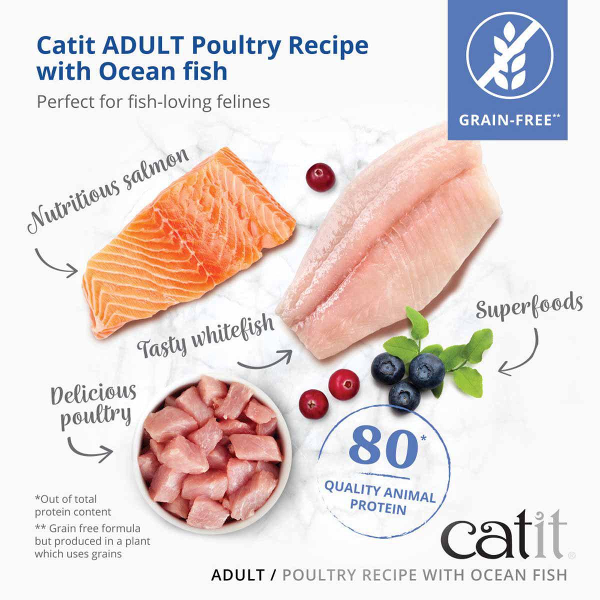 Catit Recipies Dry Adult Fish 400g