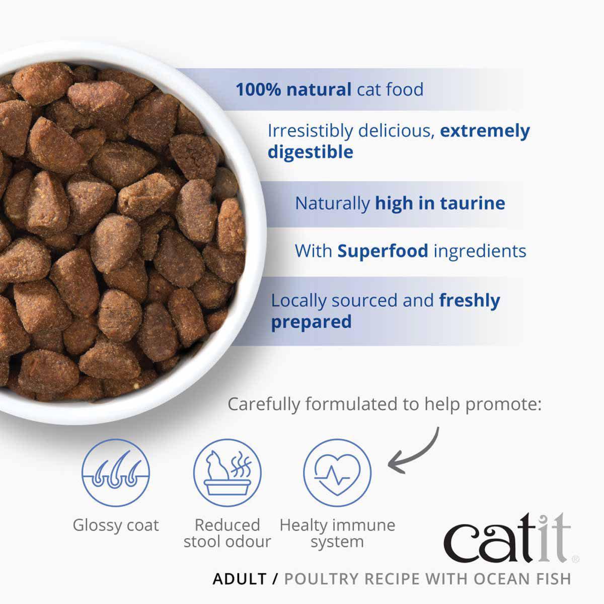 Catit Recipies Dry Adult Fish 2kg