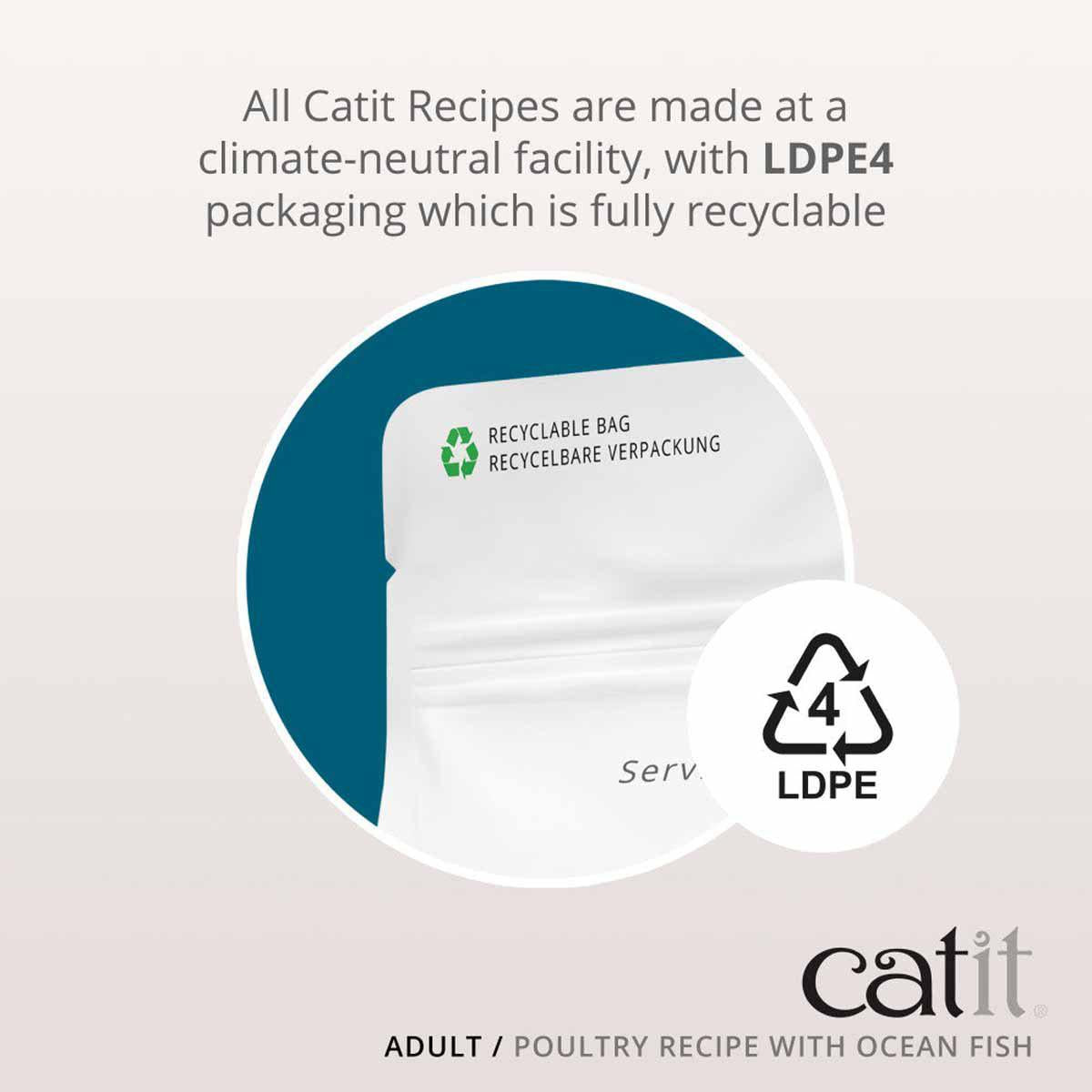 Catit Recipies Dry Adult Fish 2kg