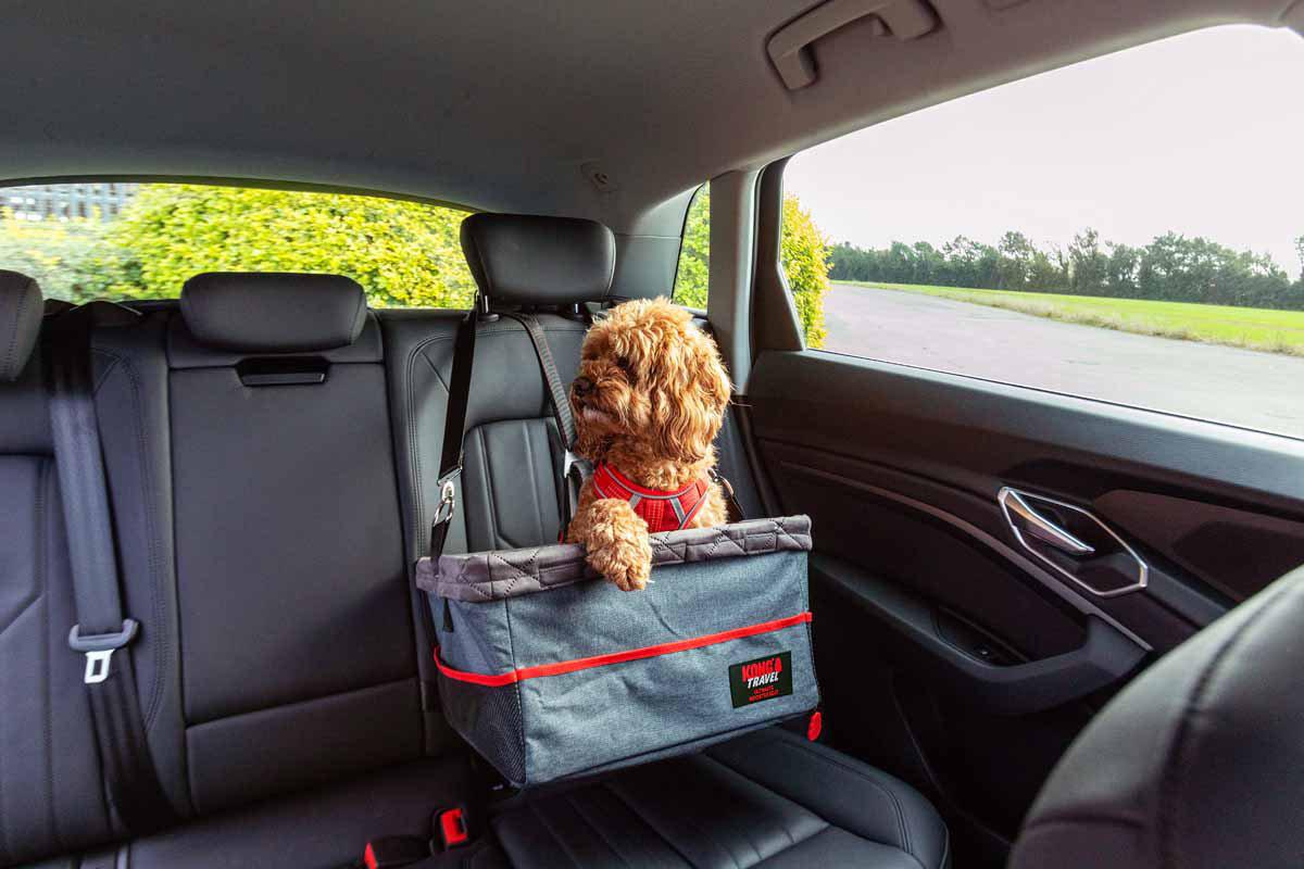 Kong Ultimate Booster Seat & Tether