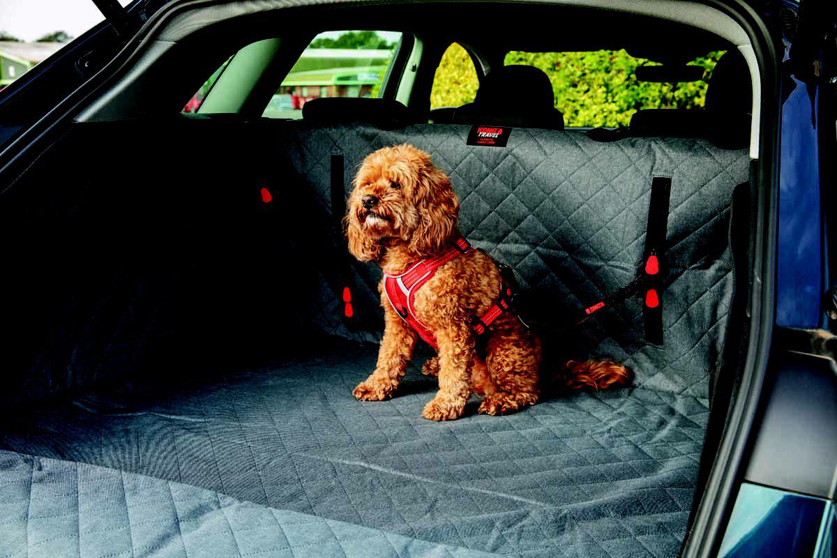 Kong Cargo Swivel Tether