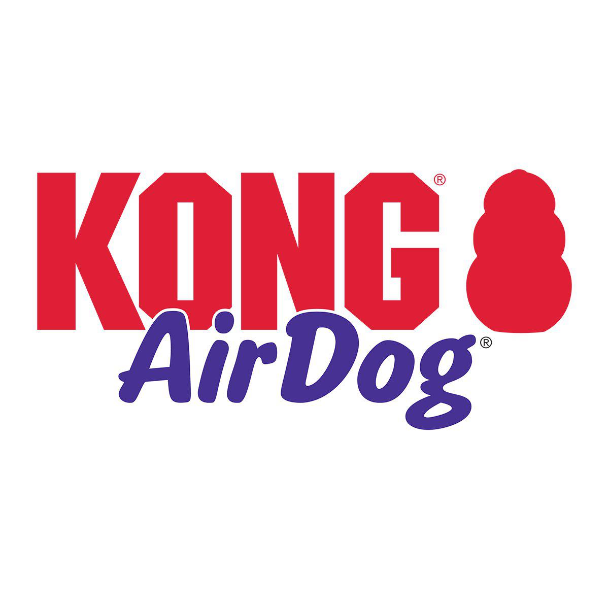 Kong Holiday Airdogstick L 28x6x6cm