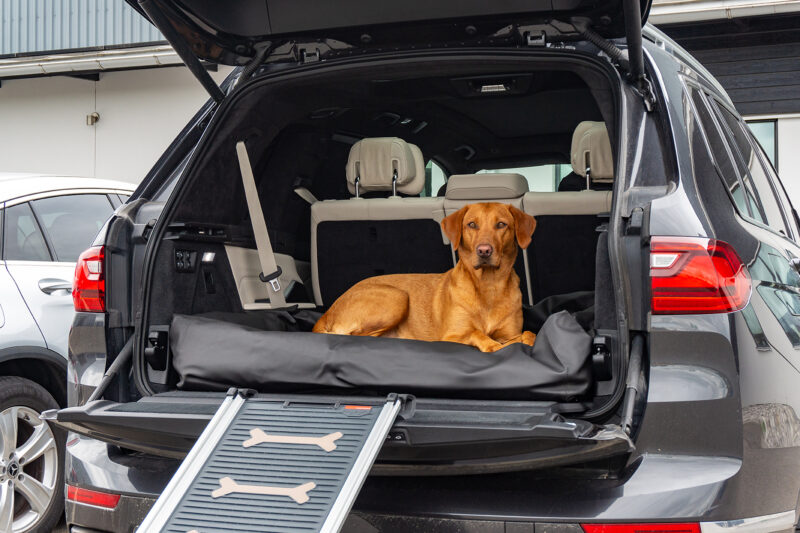 Active Canis Lounge Bed Strl.3 80X100 Svart