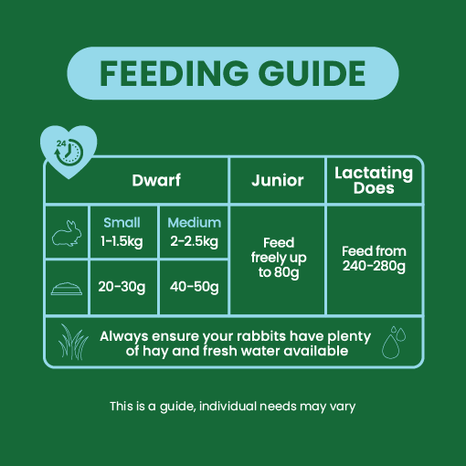 Excel Rabbit Junior & Dwarf 10kg