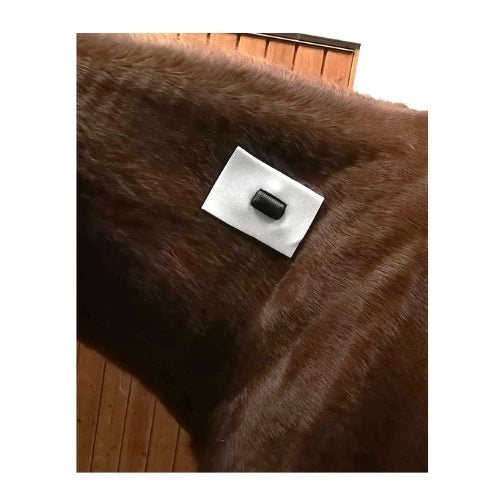 Rheva small