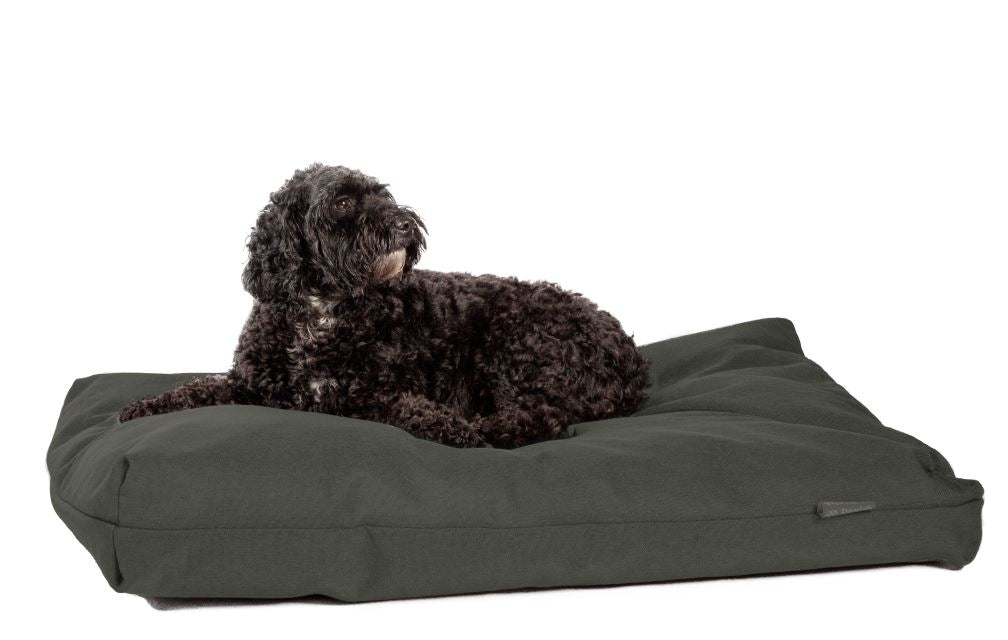 Danish Design Antibacterial Bed Green Mattress M