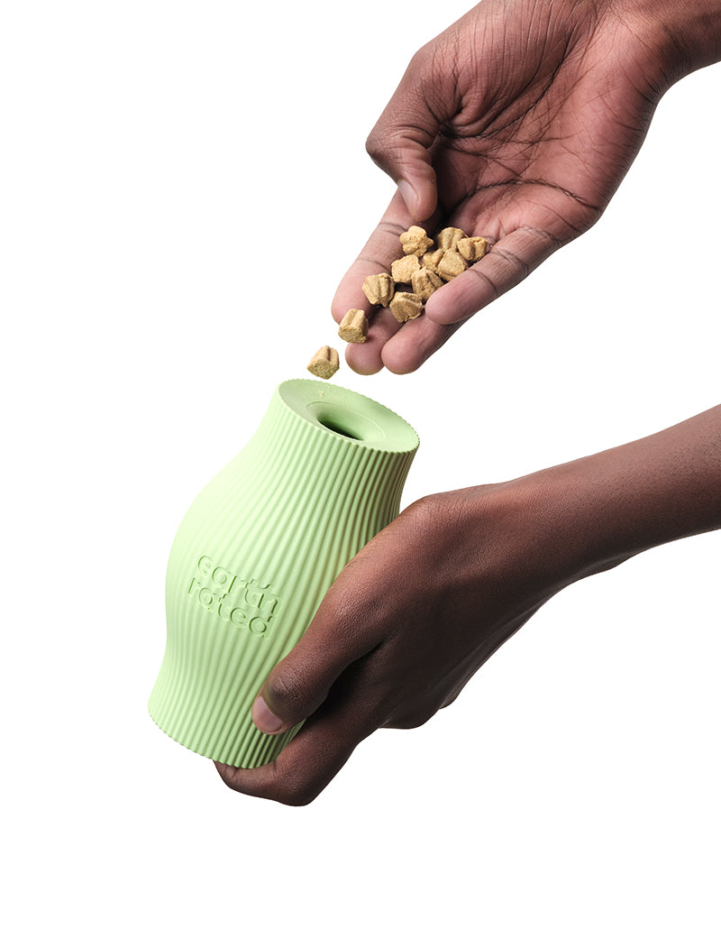 Earth Rated Treat Toy Large